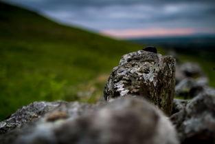 月水金火木土,月水金火木土的和谐共生