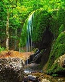 水长流,探寻生命之源的永恒魅力