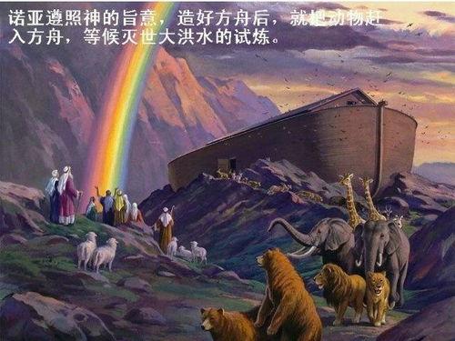 生命方舟,探索生物多样性的奇迹之旅